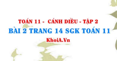 Bài 2 trang 14 Toán 11 tập 2 Cánh Diều